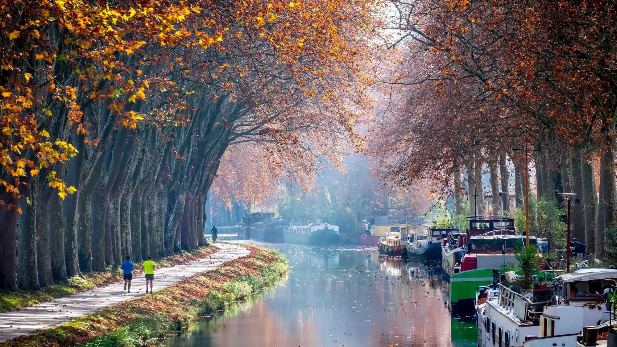 camping canal du midi