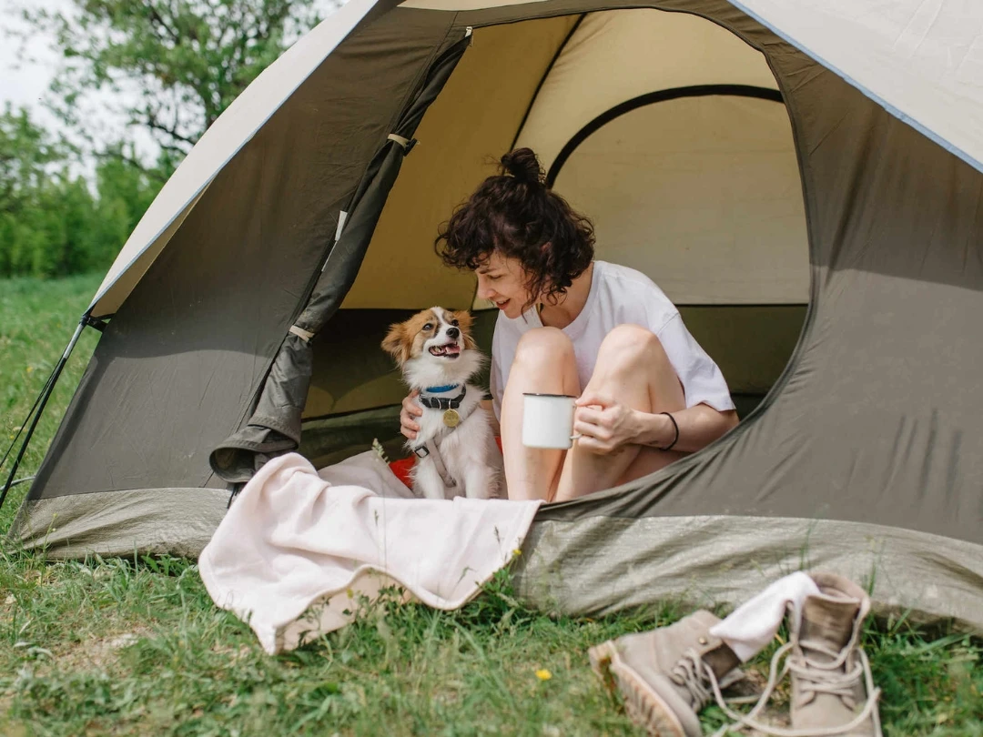 camping qui accepte les chiens vias